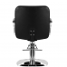 Парикмахерское кресло HAIR SYSTEM ZA31 чёрное